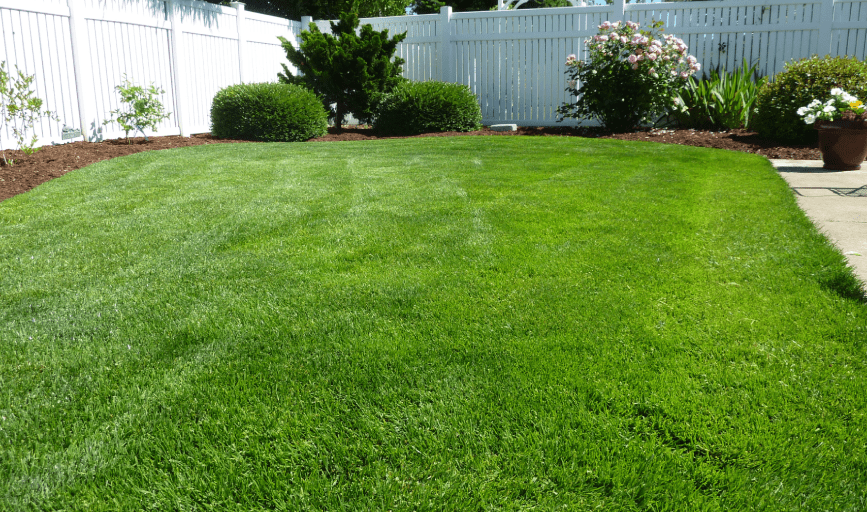 LAWN CARE SERVICES